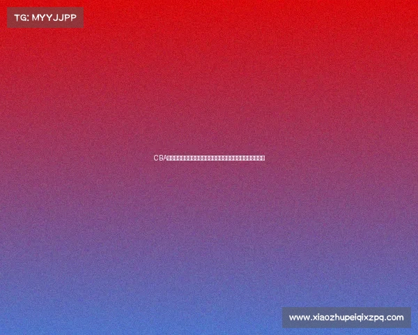 CBA球员工资现状解析及影响因素分析：薪资结构与球队运营的关系