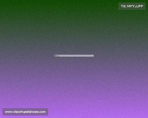 CBA球员工资现状解析及影响因素分析：薪资结构与球队运营的关系