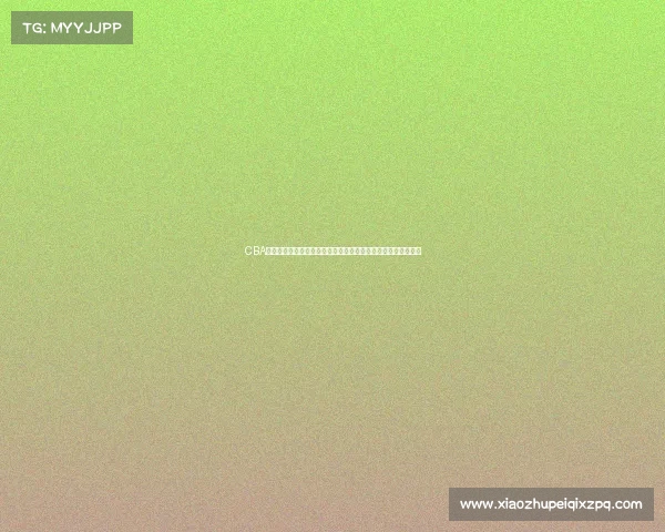 CBA球员工资现状解析及影响因素分析：薪资结构与球队运营的关系