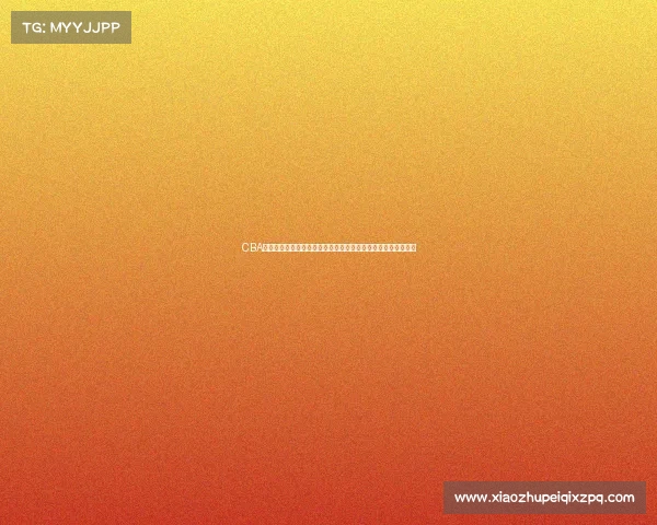 CBA球员工资现状解析及影响因素分析：薪资结构与球队运营的关系