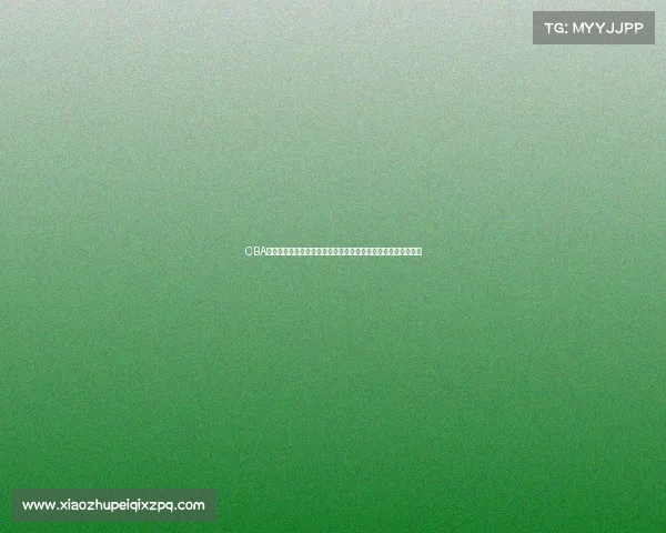 CBA球员工资现状解析及影响因素分析：薪资结构与球队运营的关系