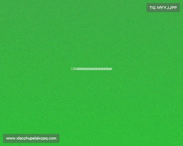 CBA球员成长之路：从青涩新秀到篮球明星的历程与挑战