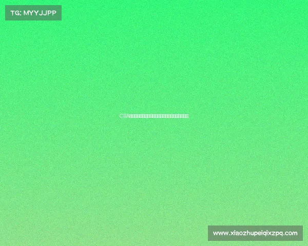 CBA球员成长之路：从青涩新秀到篮球明星的历程与挑战